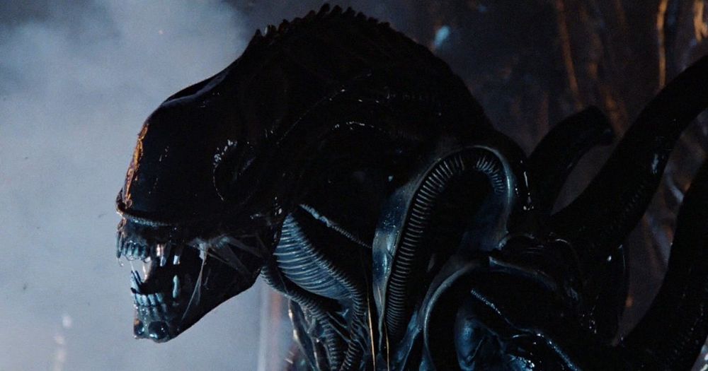 The Xenomorph from The 'Alien' Franchise'