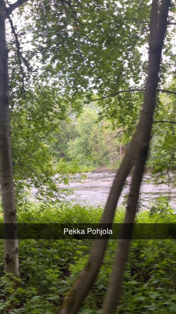 Bild från snapchat av en älv med lövskog i förgrunden och namnet Pekka Pohjola skrivet över bilden 
