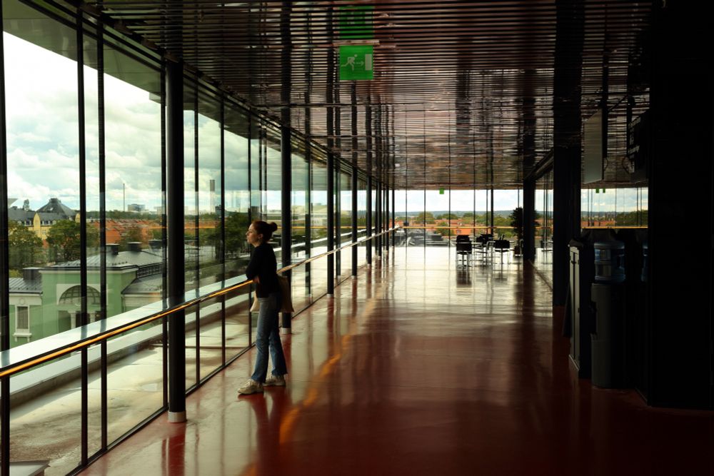 Malin vid fönsterpartierna