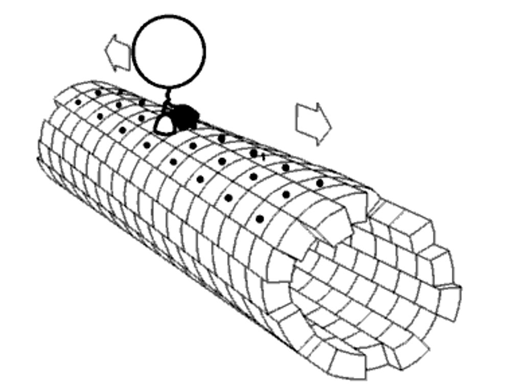 Biophysics - Wikipedia