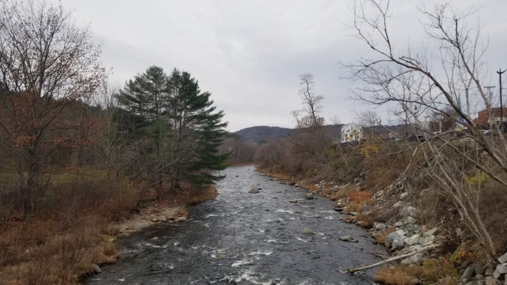 Photo of a wide, fast-flowing river , banks lined with pines and leafless trees, under a slate-grey sky. In the distance is a large white wooden house with a gigantic sunflower painted on the wall.