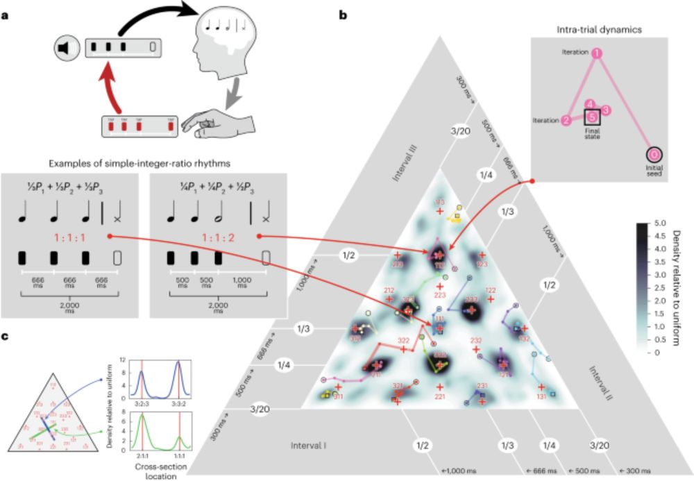 Commonality and variation in mental representations of music revealed by a cross-cultural comparison of rhythm priors in 15 countries - Nature Human Behaviour