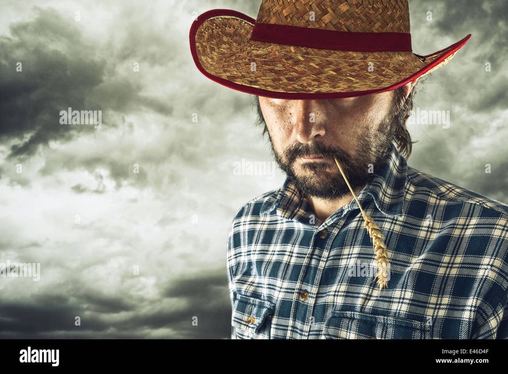 stock photo of a cowboy with straw in his mouth