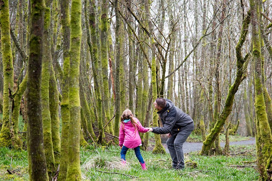 An adult and a child in woodland, looking up into the trees.