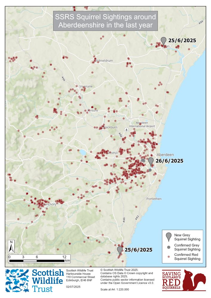 A map showing the North East of Scotland, with three grey squirrel sightings highlighted.