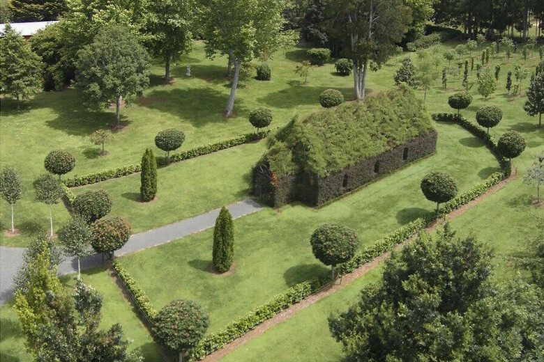 Tree Church, Ohaupo