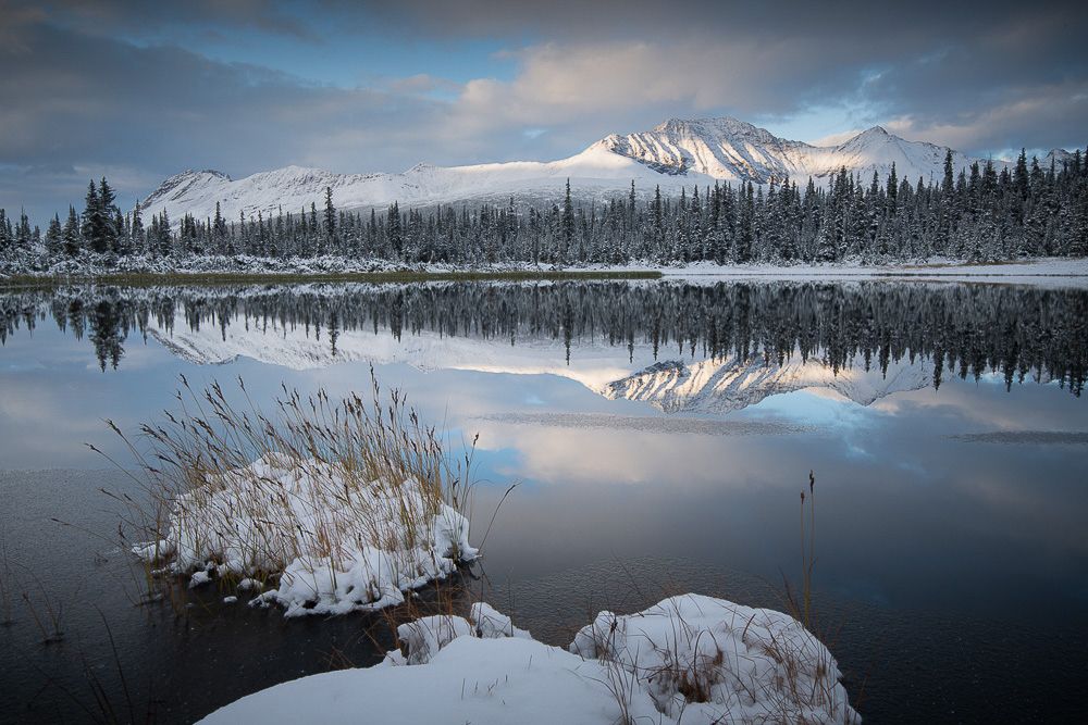 Animahe from the archives. The always beautiful Tonquin Valley in Jasper National Park