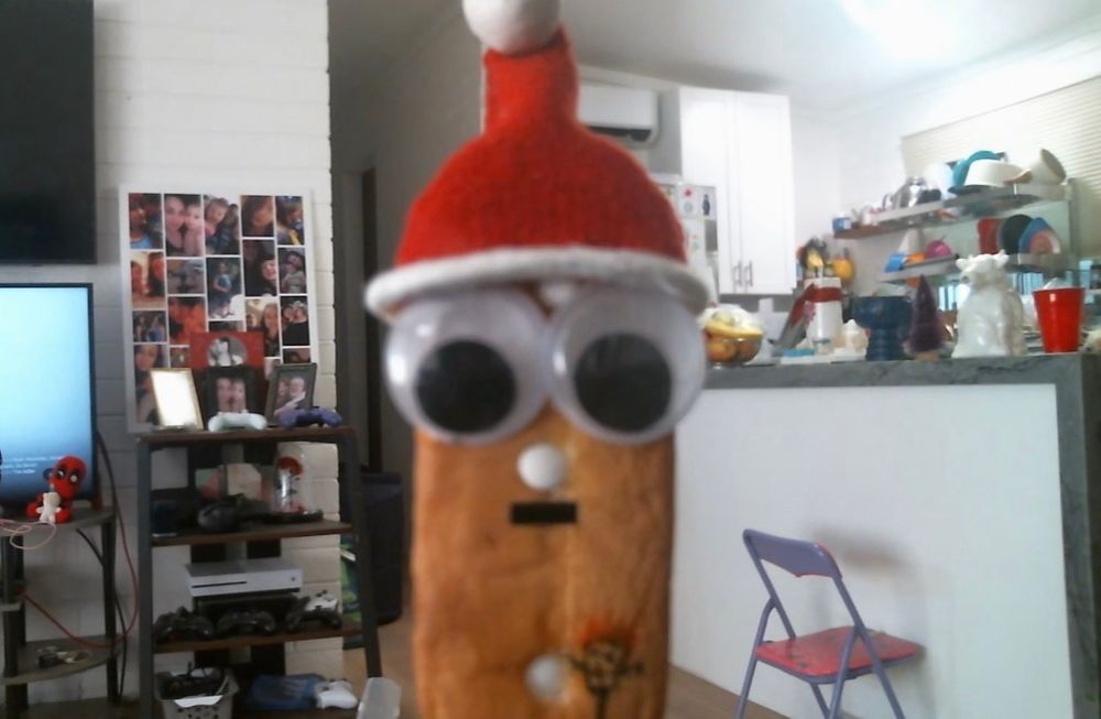 a weird little creature. i think its a twinkie. it had a santa hat and two large googly eyes