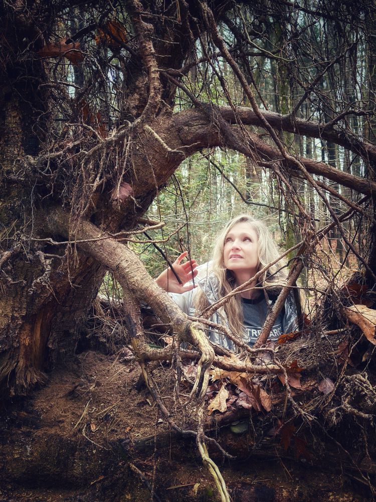In a forest, I’m peering up between thin roots of a giant, brown and gray overturned tree. Behind the root system, in the negative space, there are tall, lean trees with green leaves. The image appears enchanted and misty.