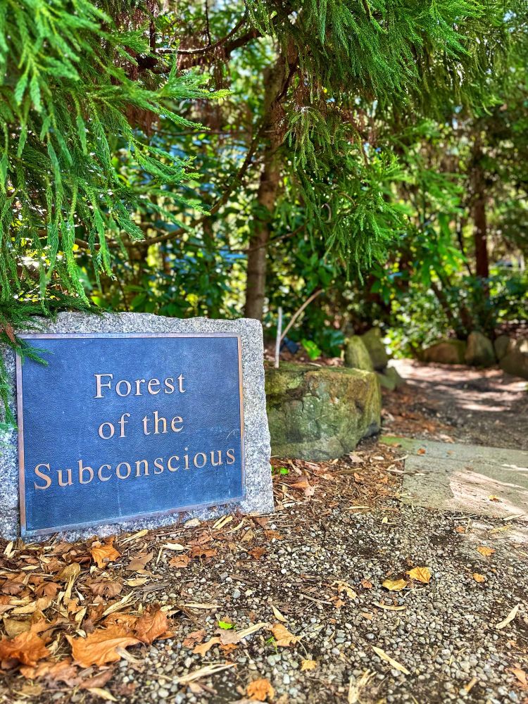 A plaque reading “Forest of the Subconscious” stands before a green forest path. 
