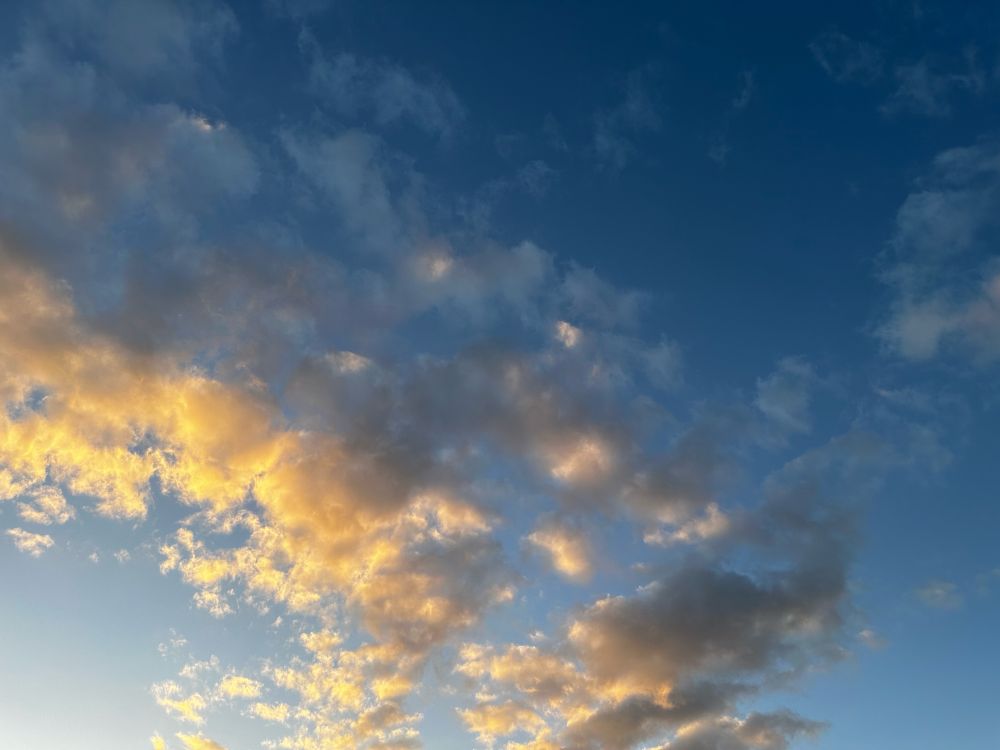 Absolutely stunning blue sky with clouds ranging from sunlit-yellow to blue-gray. 