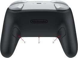 Diagram pointing to Switch 2 Pro Controller's GL and GR buttons