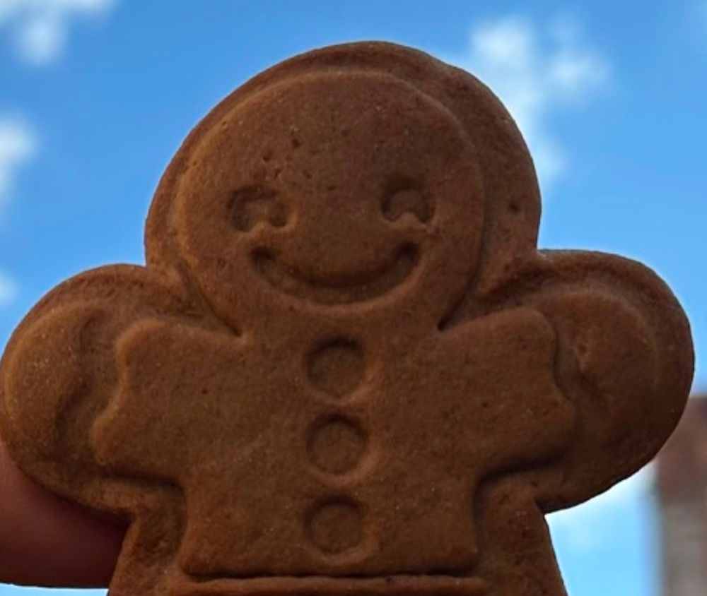 Gingerbread man zoomed in