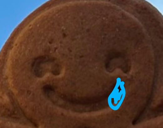 Gingerbread man, further zoomed, shedding a tear 😢