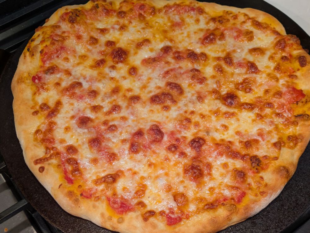 Plain-ass cheese pizza