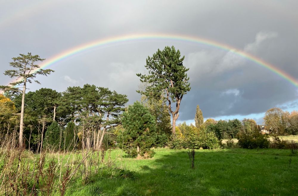 Rainbow over Ormeau Park 