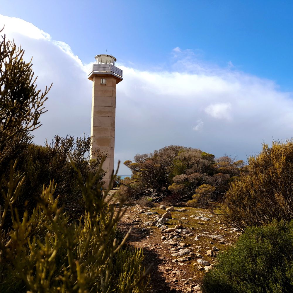 Industrial looking lighthouse standing in background against large white-grey rain clouds and a 1/3 bright sunny blue sky. Arid South Australia coastal mallee heath vegetation in various shades of green in the foreground with a thin dirt and rock walking trail centre of image leading to the lighthouse.