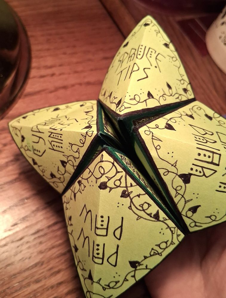 The outside of an origami fortune teller (sometimes referred to as a cootie catcher), which is made with lime green paper. Each section is bordered with ink drawings of thorny vines. The sections read as follows: Paw Paw, Green Briar, Cypress Knees, and Spruce Tips.