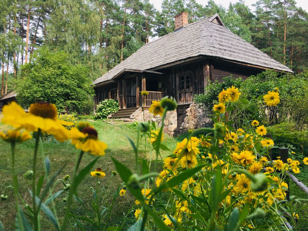 Farbfoto (Querformat)
Waldlichtung, Bauernhaus aus Holz, Gelbe Blumen. Idylle