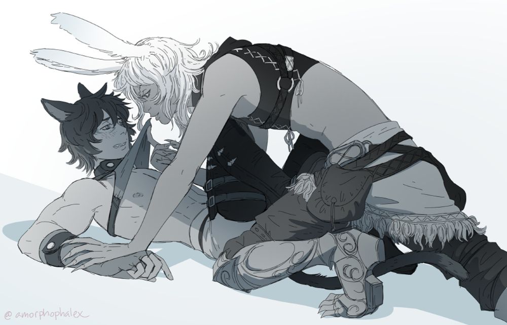 비에라 x 미코테
ヴィエラ x ミコッテ
viera x miqo'te
