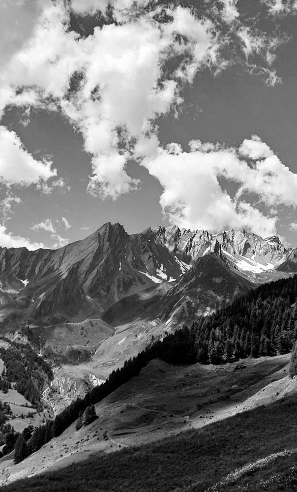 A black-and-white landscape of mountains with rocky peaks and, in some places, snow.
Coniferous forests extend along the mountain slopes, alternating with pastures.
Cumulus clouds appear in the sky. 