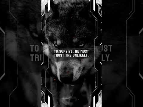 #coverreveal 🔸ALPHA🔸by KD Marchesi @AFictionalEscapist