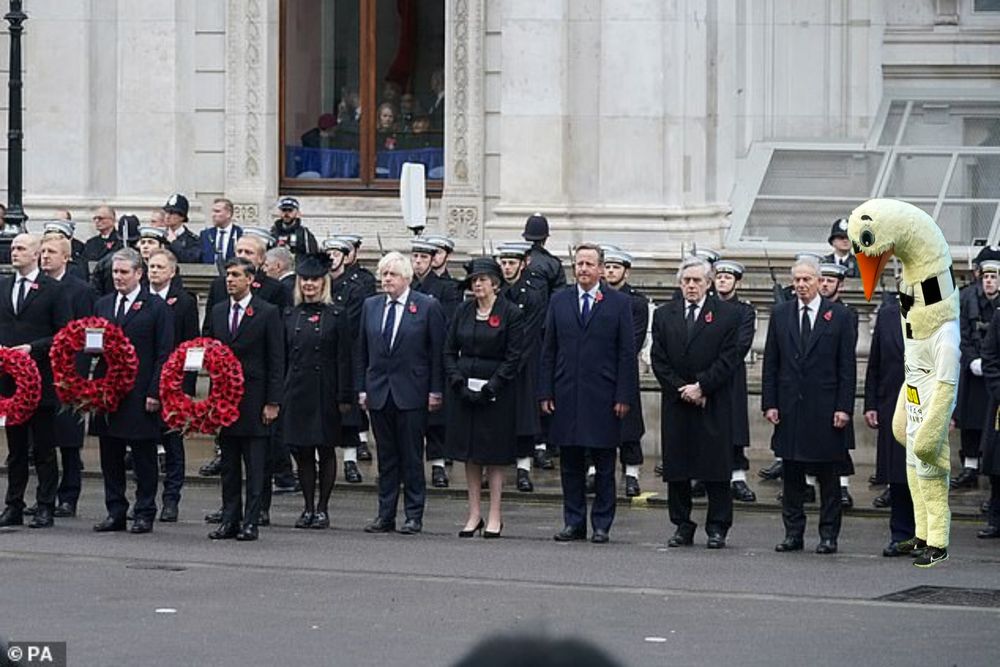 Swansea mascot remembrance meme