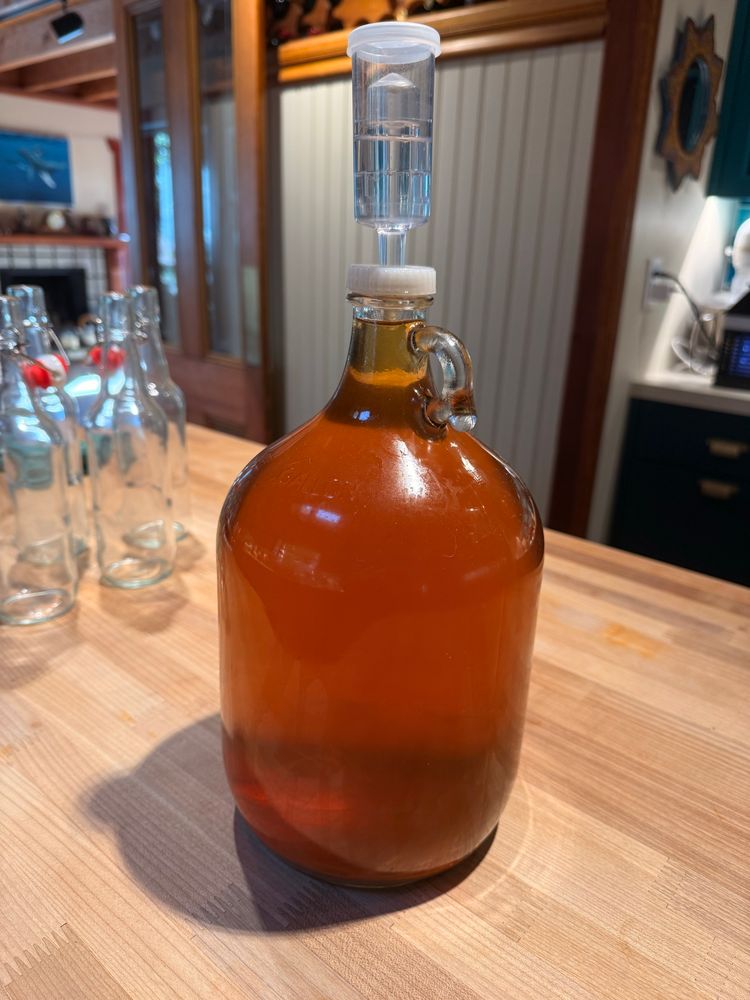 Gallon bottle containing homemade mead 