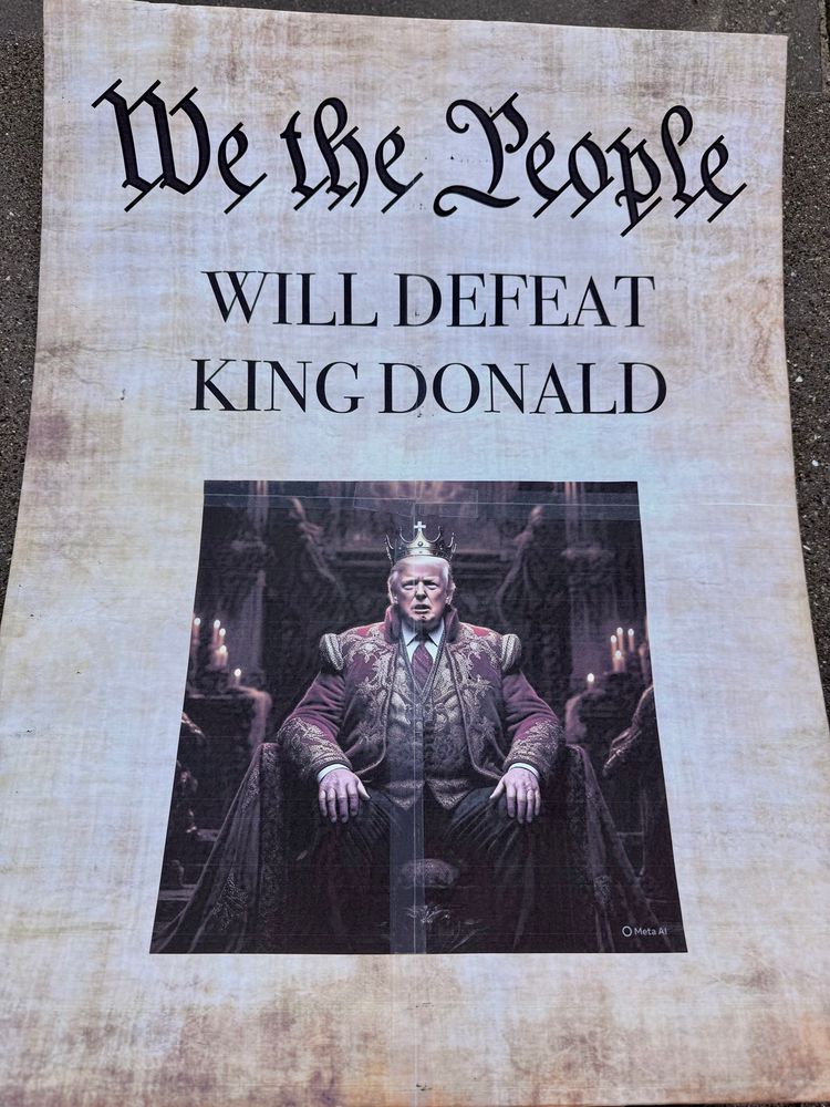 Close up of my We the People Will Defeat King Donald sign