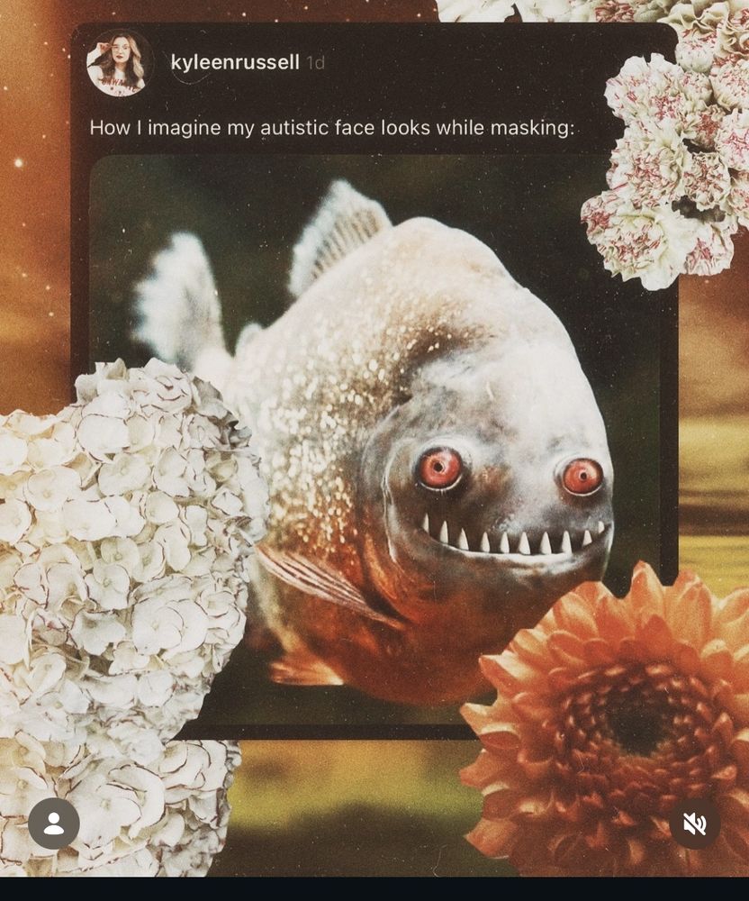 How I imagine my autistic face looks during masking 
[Picture of a fish with red eyes smiling with its pointy teeth bared