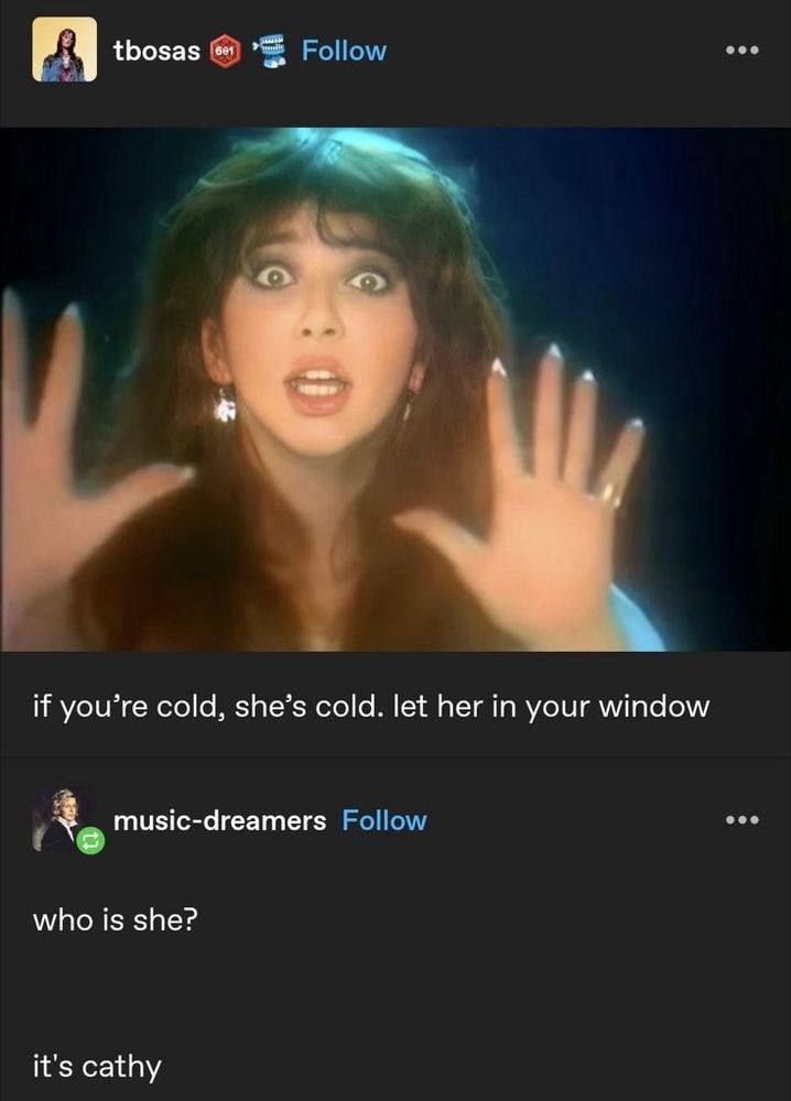 Picture of Kate Bush with her hands up, outside a window
Text:
-If you're cold, she's cold. let her in your window
-who is she?
-It's cathy
