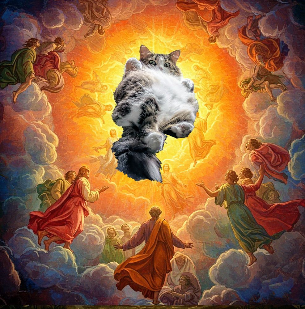 A photoshopped cat is placed inside an illustration/painting of a glowing cloud where Jesus would be, ascending into Heaven surrounded by angels