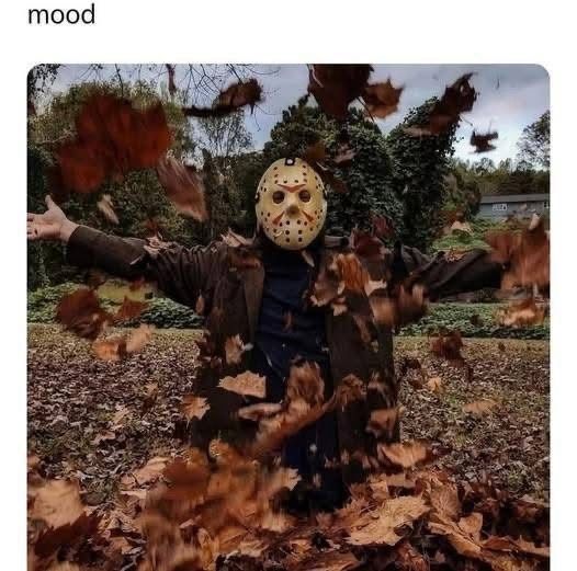 mood
[Michael Myers in a pile of leaves, eorher throwing leaves up in the air or with his hands up as they fall around him]