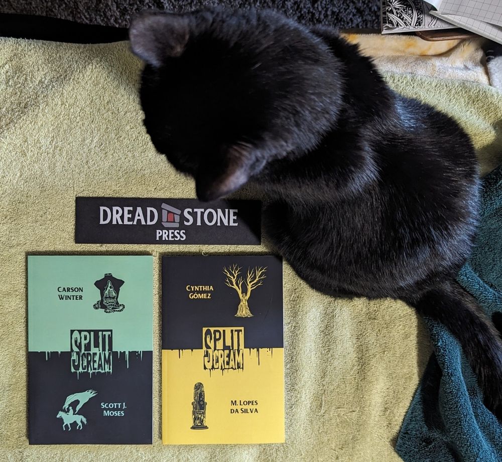 Same paperbacks as described in the previous picture but now a black cat is sitting almost on top of them because she photo bombed the scene.