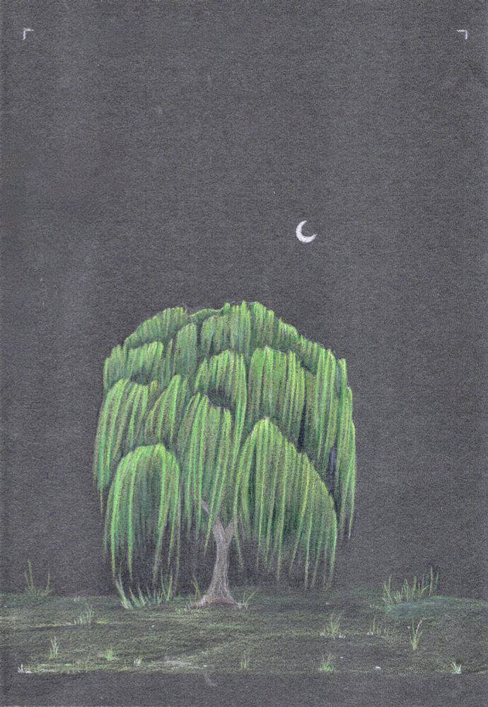 A colored pencil of an illustration of a lone willow tree standing in a field at night. The leaves and branches and grass shooting up from the ground make the tree resemble a man's face, screaming.