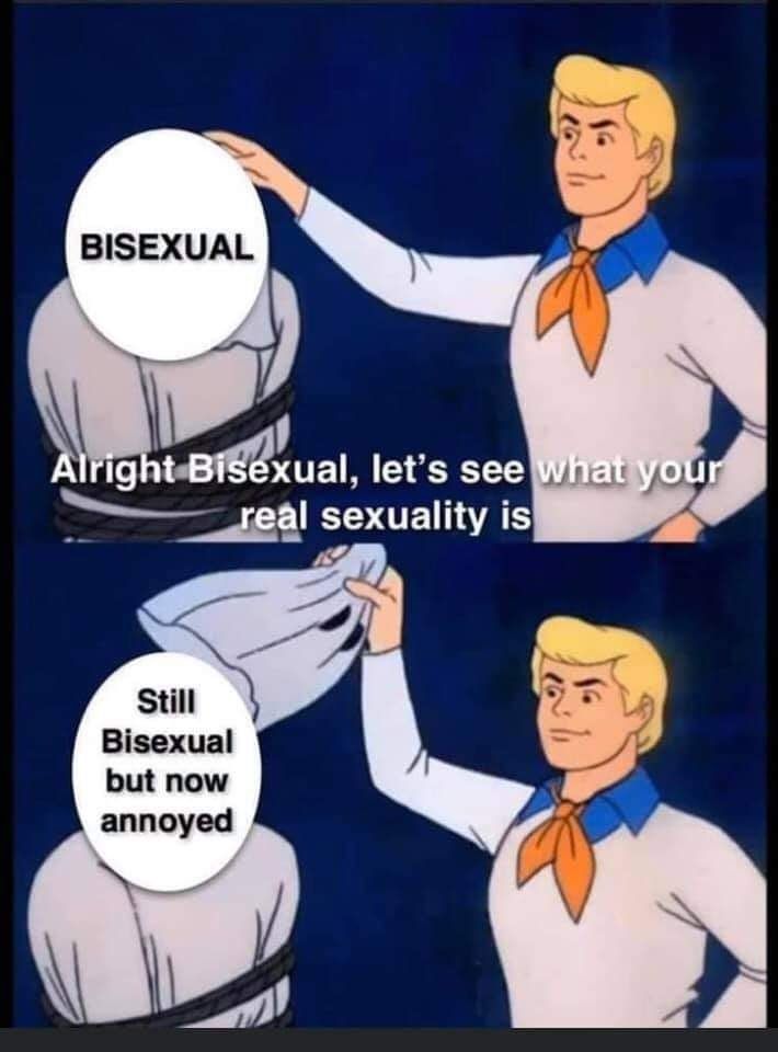 1) Fred from Scooby Doo about to unmask someone.  A white circle has been put over their head that says "Bisexual" and text underneath it says "Alright, Bisexual, let's see what your real sexuality is"
2) Fred from Scooby Doo pulling off the mask on the person. Now the white circle says, "Still bisexual but now annoyed"