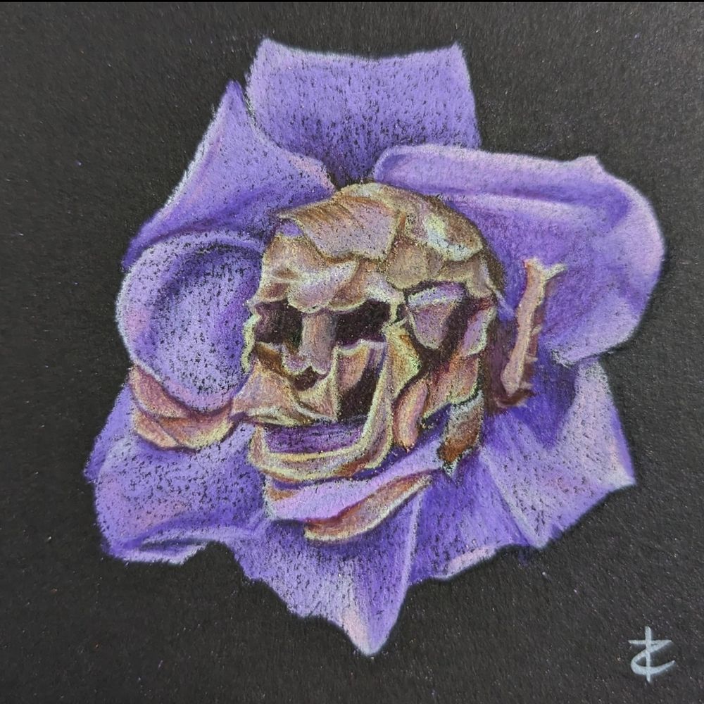 A colored pencil illustration of a flower with decaying petals that make it resemble a skull