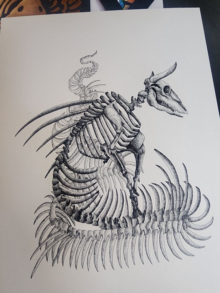A study of a full skeleton of the Ophiotaurus, a half bull half serpent creature.