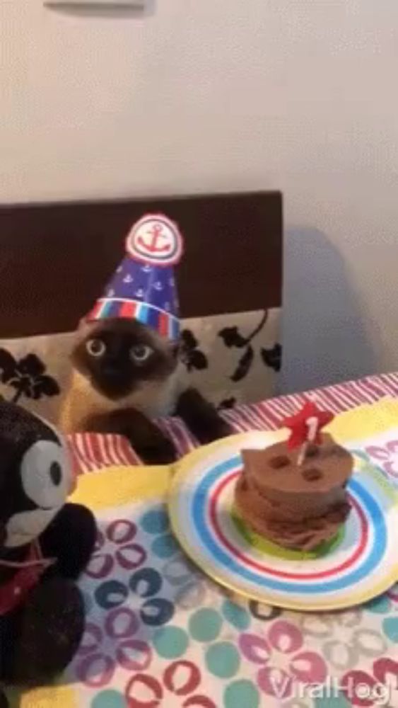 a cat wearing a party hat is looking at a birthday cake