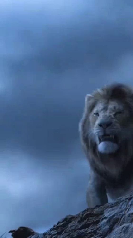 a lion standing on top of a rocky hill with a blue sky in the background .