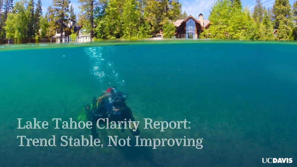 Split-view image of a diver underwater in Lake Tahoe with lakeside houses and trees above the waterline; overlaid text reads a UC Davis clarity report headline.