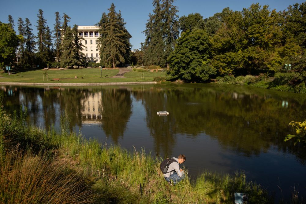 A student kneels near the edge of Lake Spafford and looks into the water. Mrak Hall and trees are in the background. 