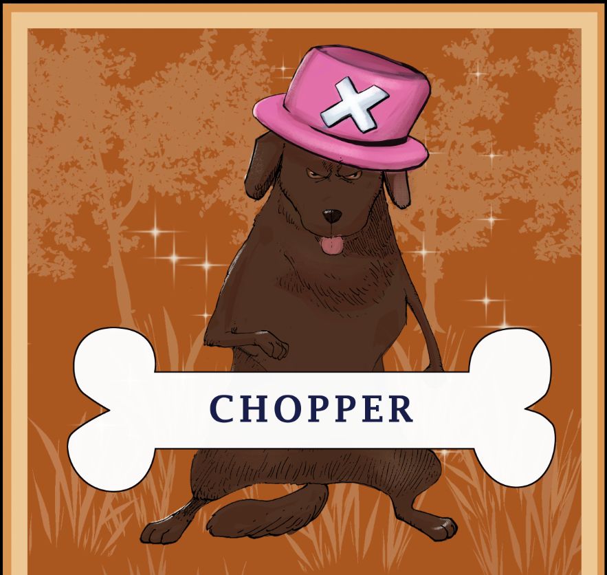 A card of a brown dog wearing Chopper's hat from One Piece with his name "Chopper" in the middle. In the BG there's unnecessary flair XD