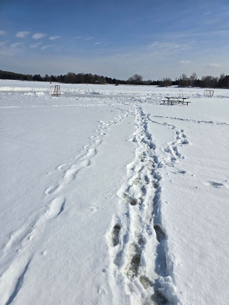A path cleared in the snow, leading across Valens Lake to an ice rink cleared on it.