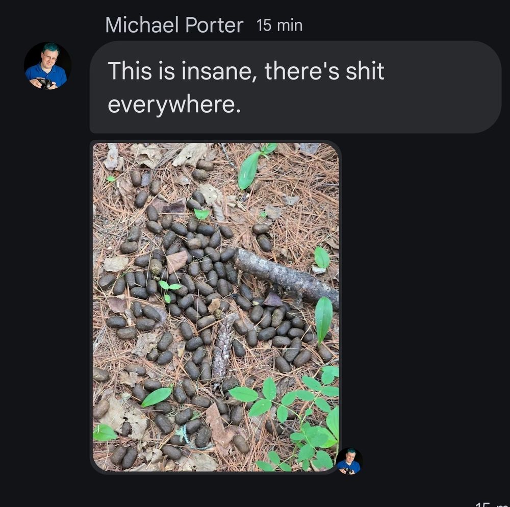 A screen shot of a text message with a photo of moose poop.