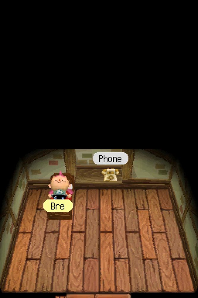 Screenshot of one of the start screens for Animal Crossing: Wild World (DS)