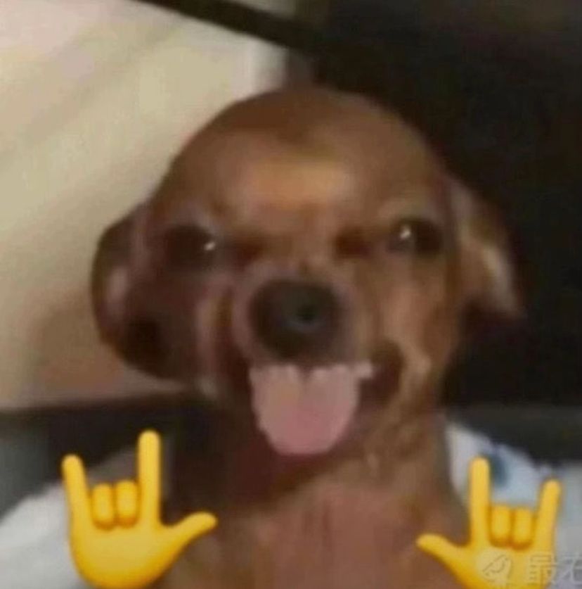 cachorro pinscher com a lingua pra fora e dois emoji de rock 