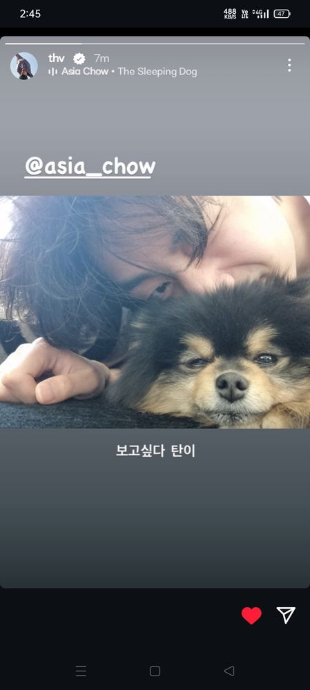 Taehyung user @thv on ig shared that he is missing yeontan