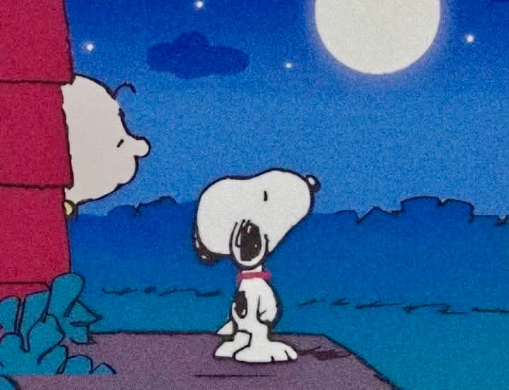 Snoopy looking at the stars
