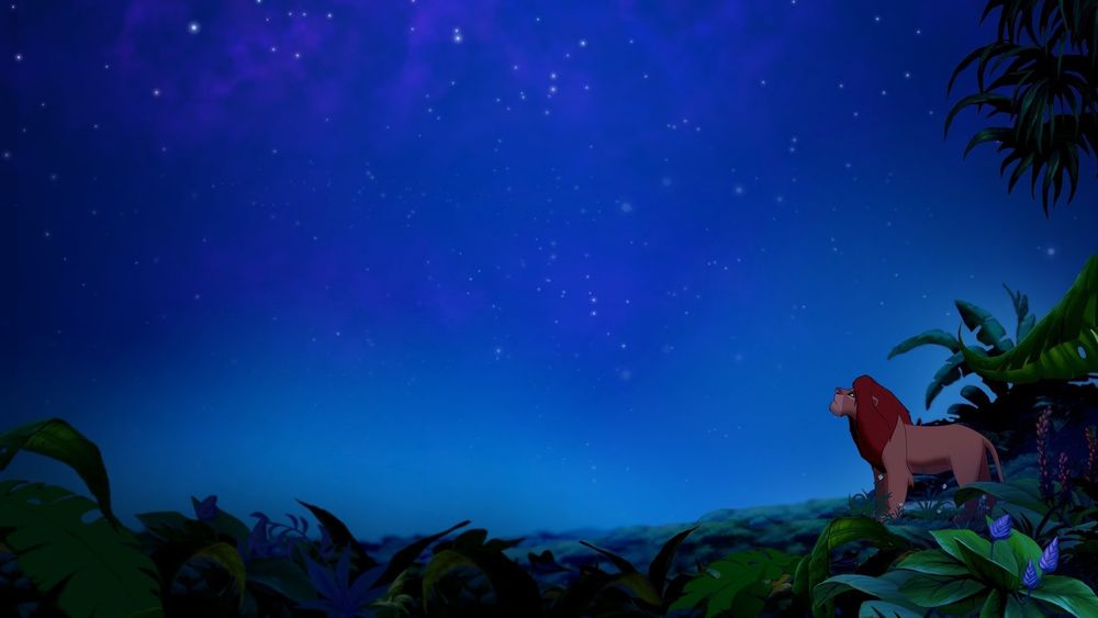 Simba looking at the stars